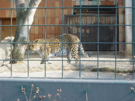 Tierpark Berlin